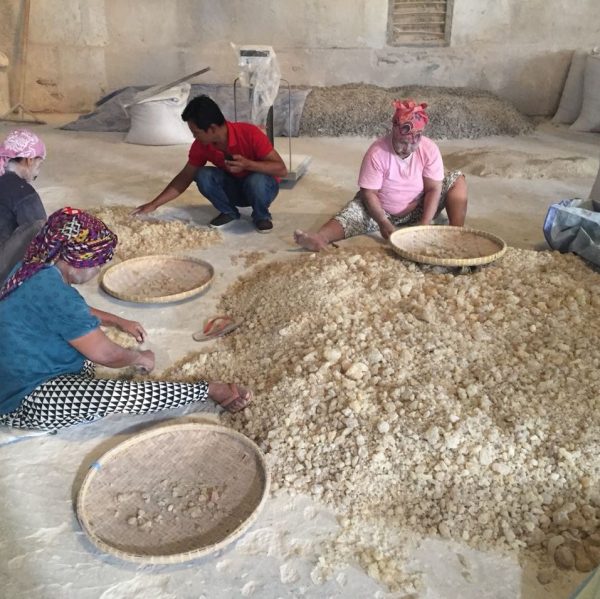 High Quality Damar Gum - Image 2